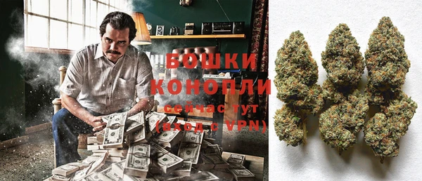 мет Бородино