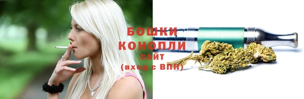 мет Бородино