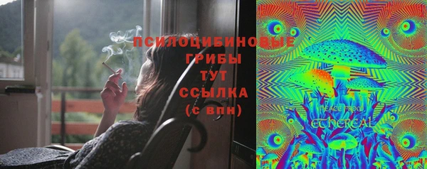 мет Бородино