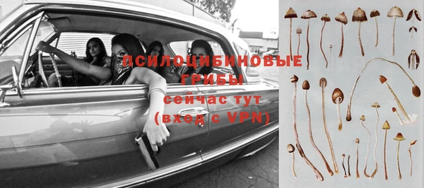 a pvp Бугульма